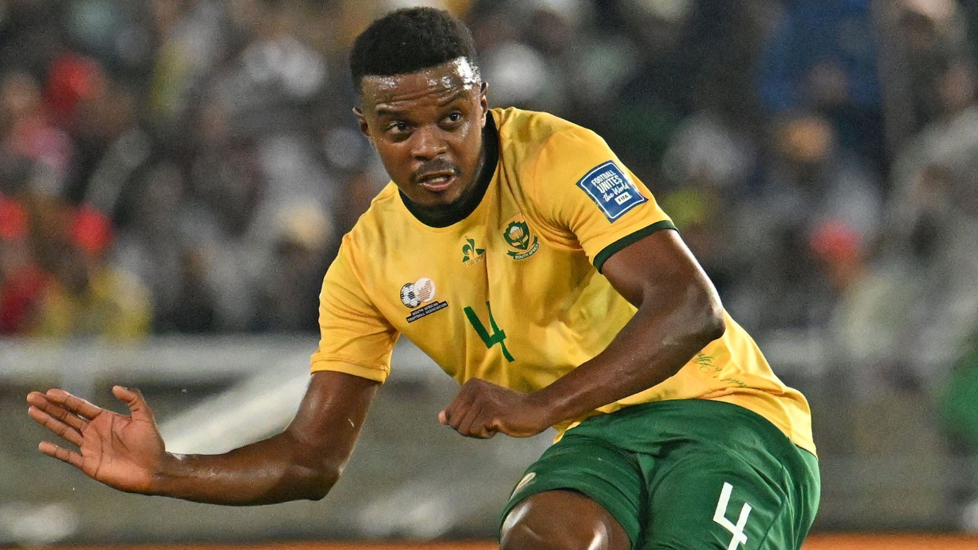 Teboho Mokoena, Bafana Bafana