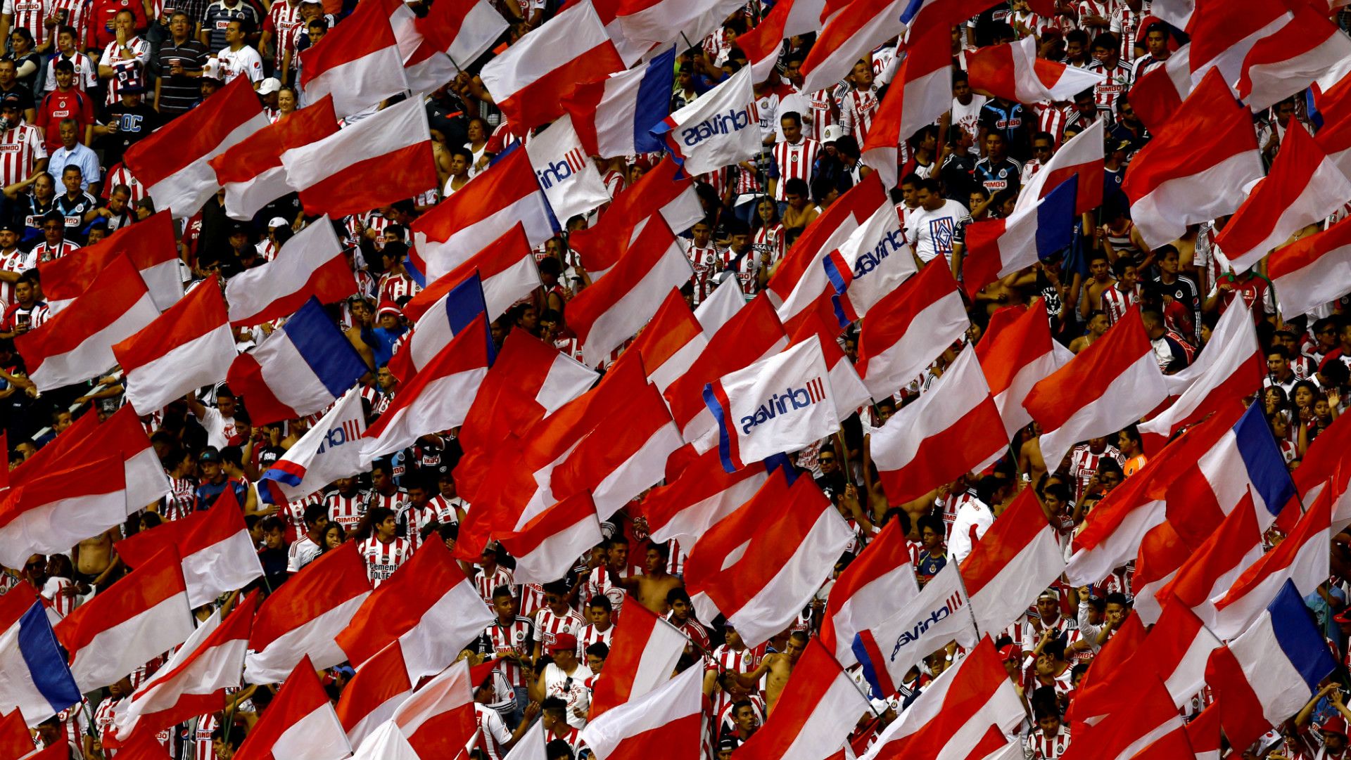 Chivas fans