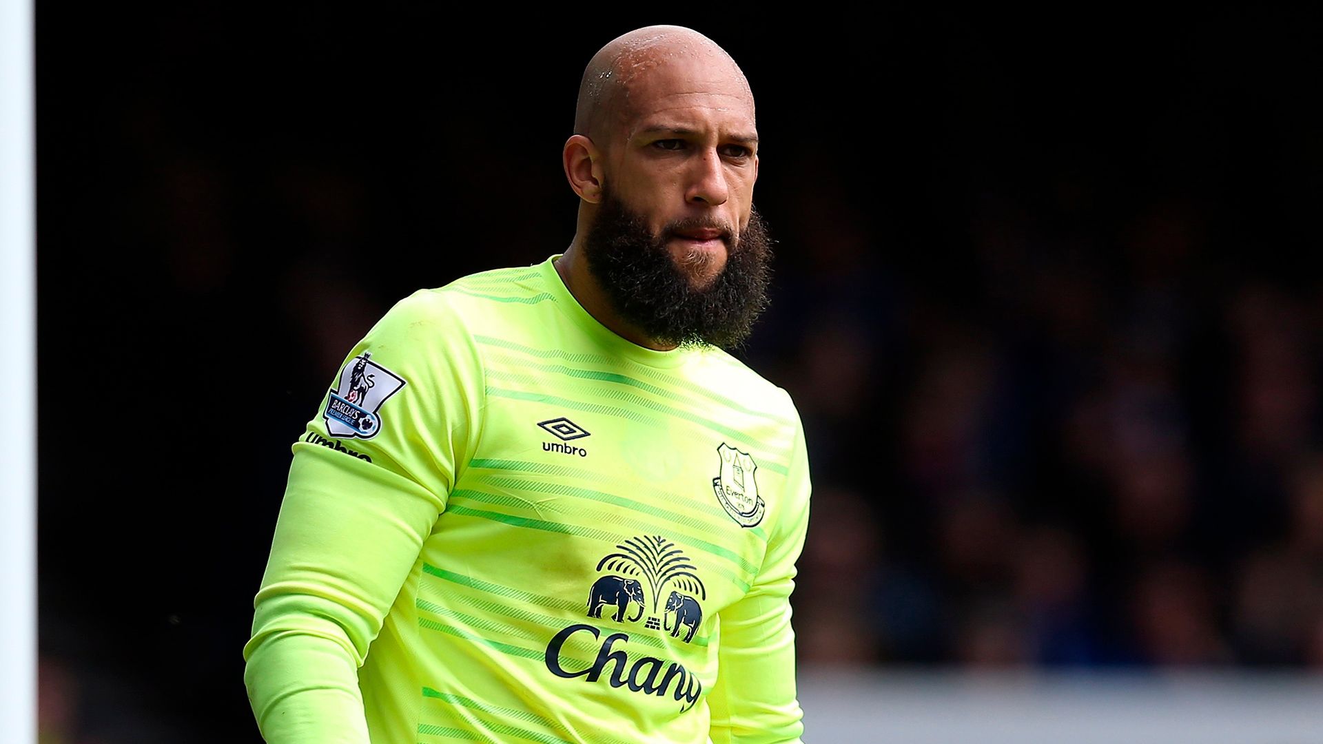 Tim Howard Everton
