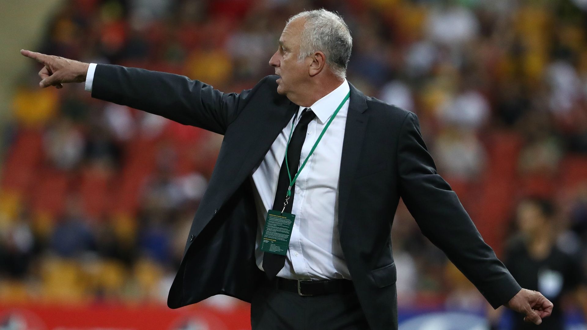 Graham Arnold Socceroos
