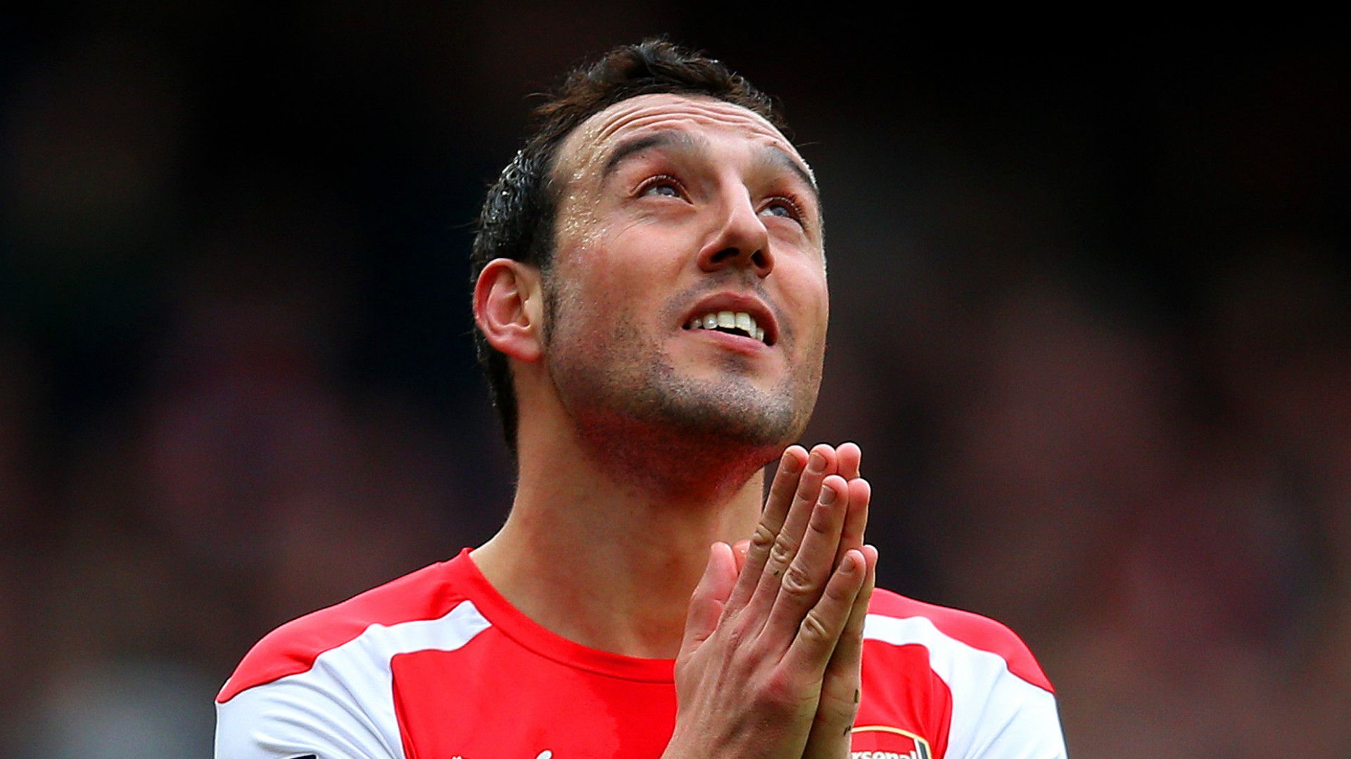 Santi Cazorla Arsenal