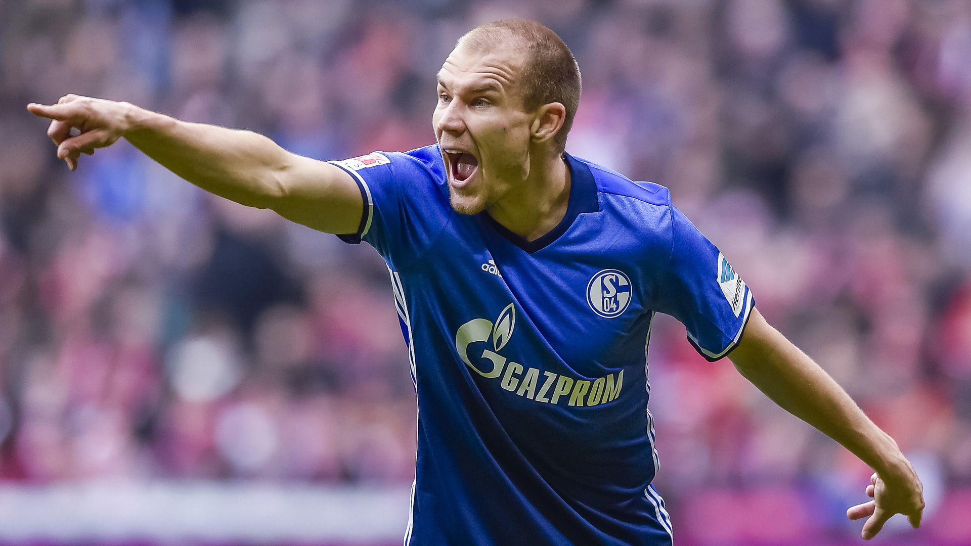 Holger Badstuber Schalke 04 Bundesliga 04022017