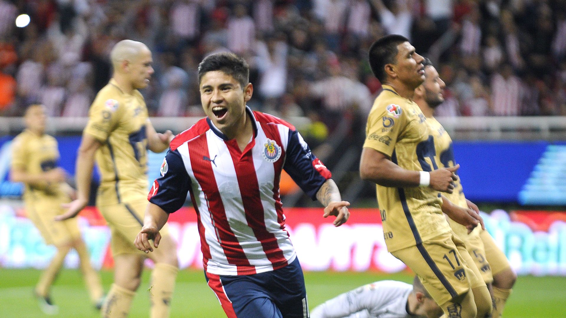 Chivas Clausura 2017
