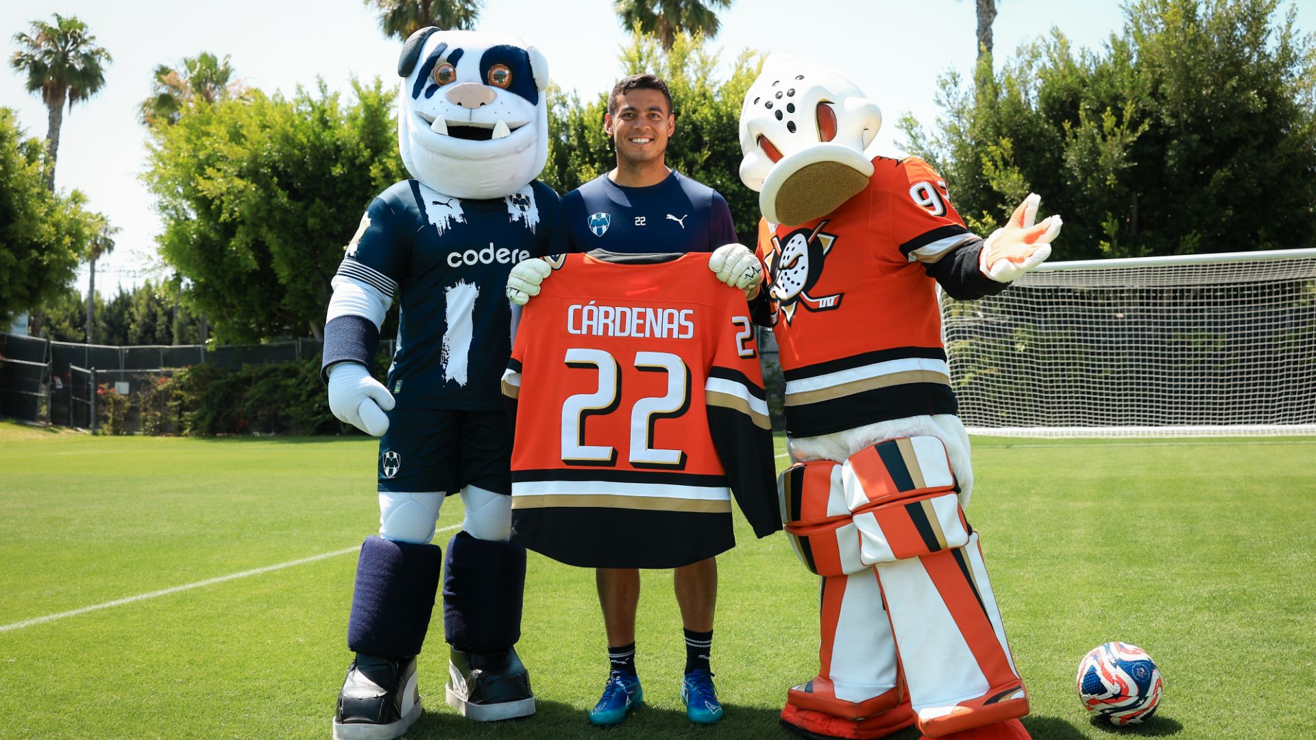 Rayados de Monterrey Anaheim Ducks