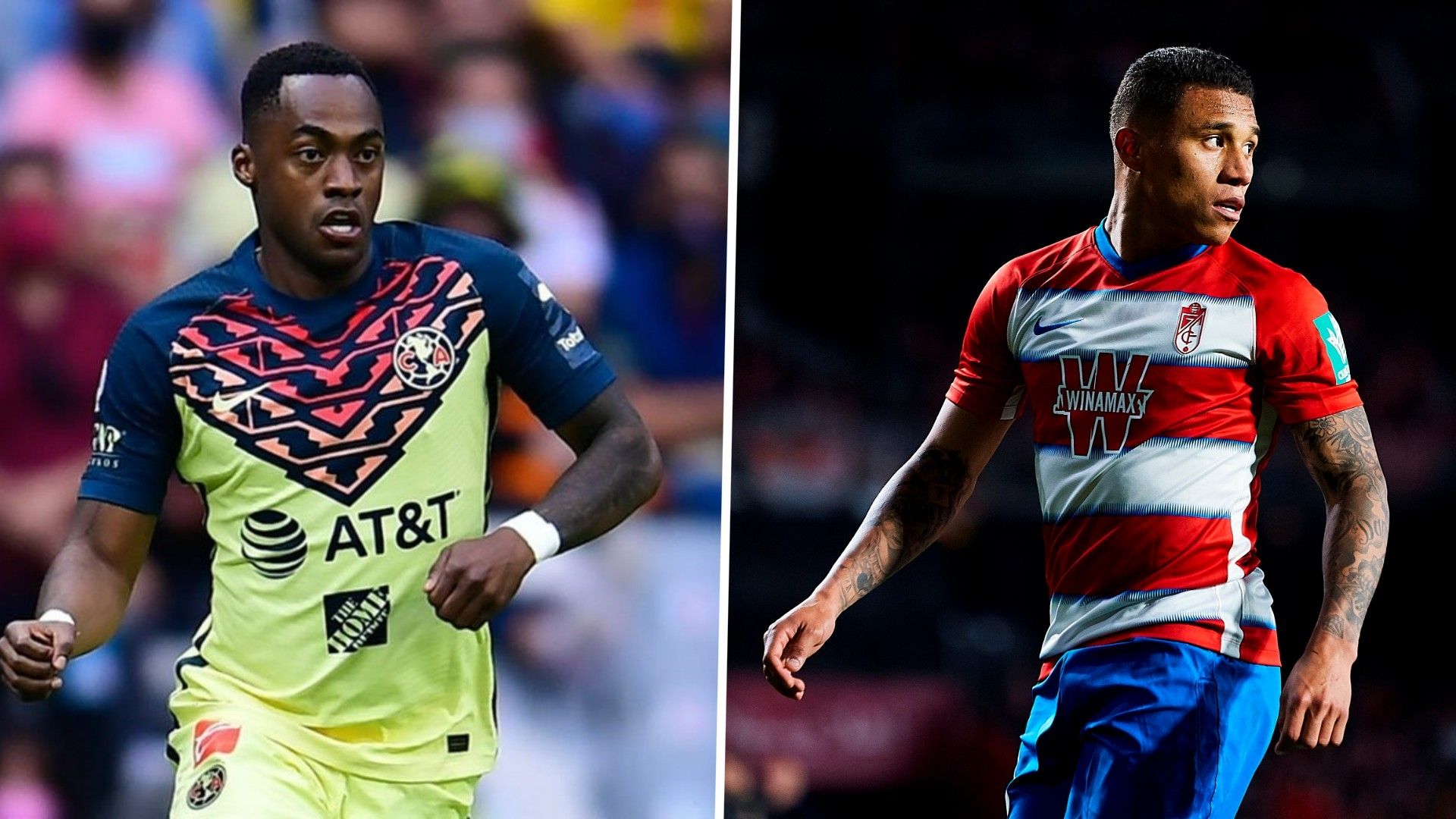 Renato Ibarra Darwin Machís América