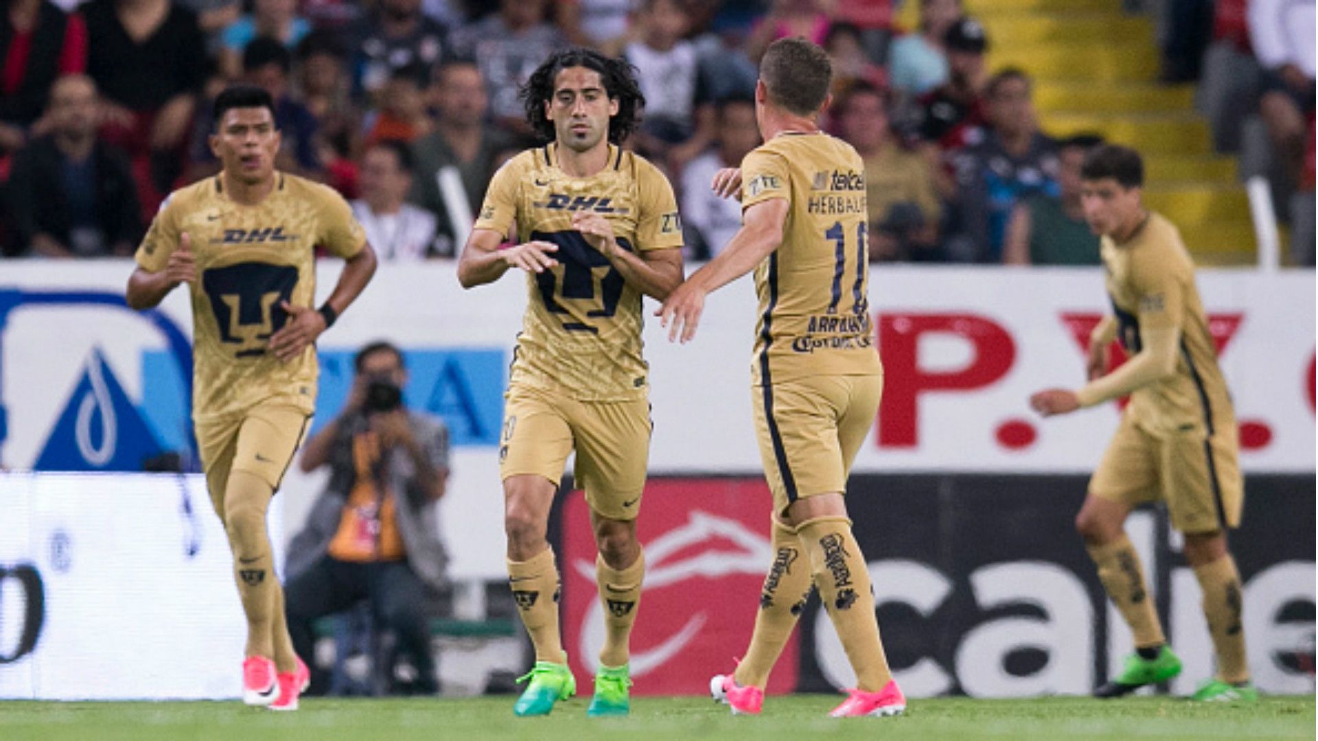 Pumas
