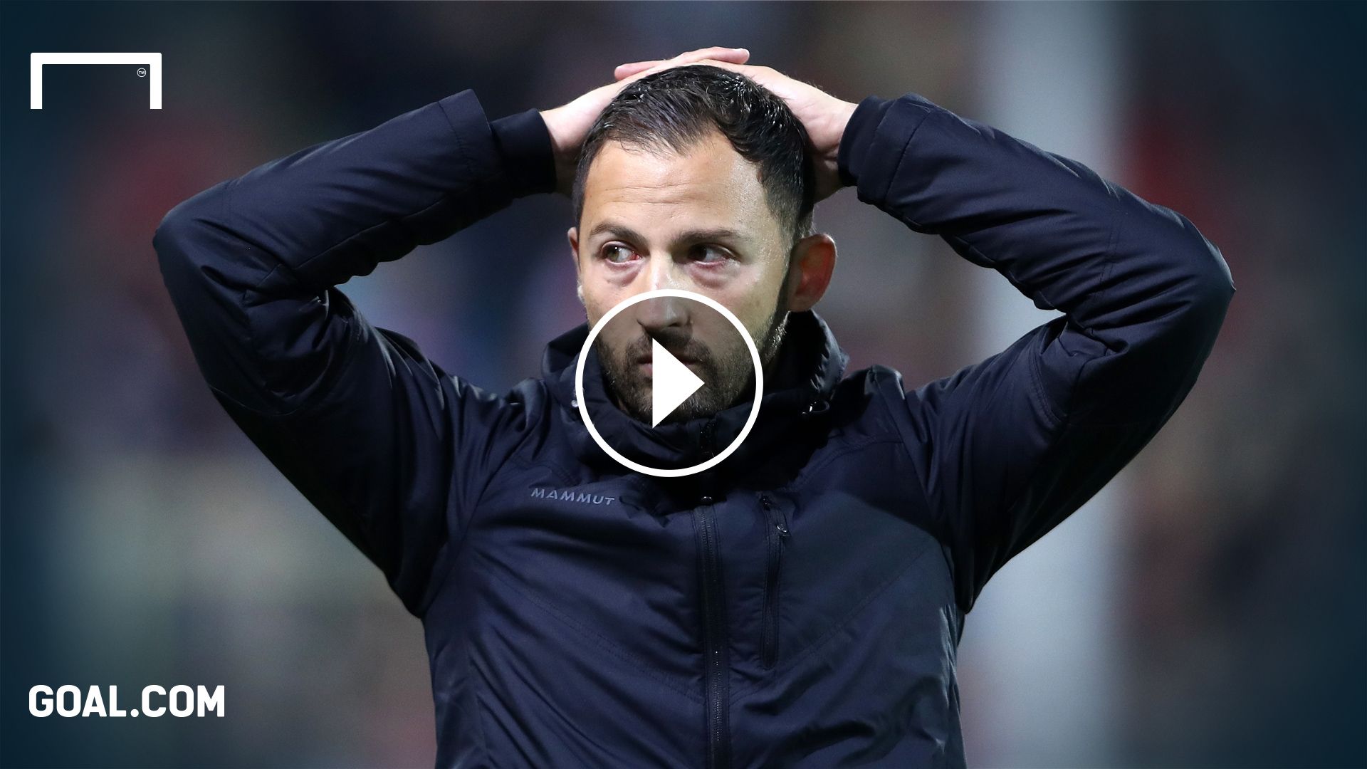 GFX Schalke Tedesco 25092018