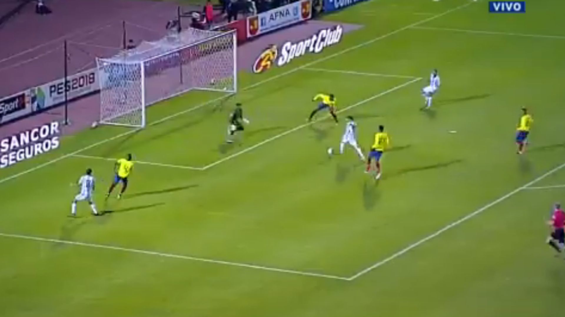 Messi Gol Argentina Ecuador Video