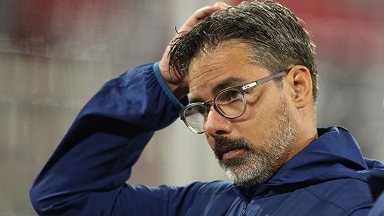 데이비드 바그너