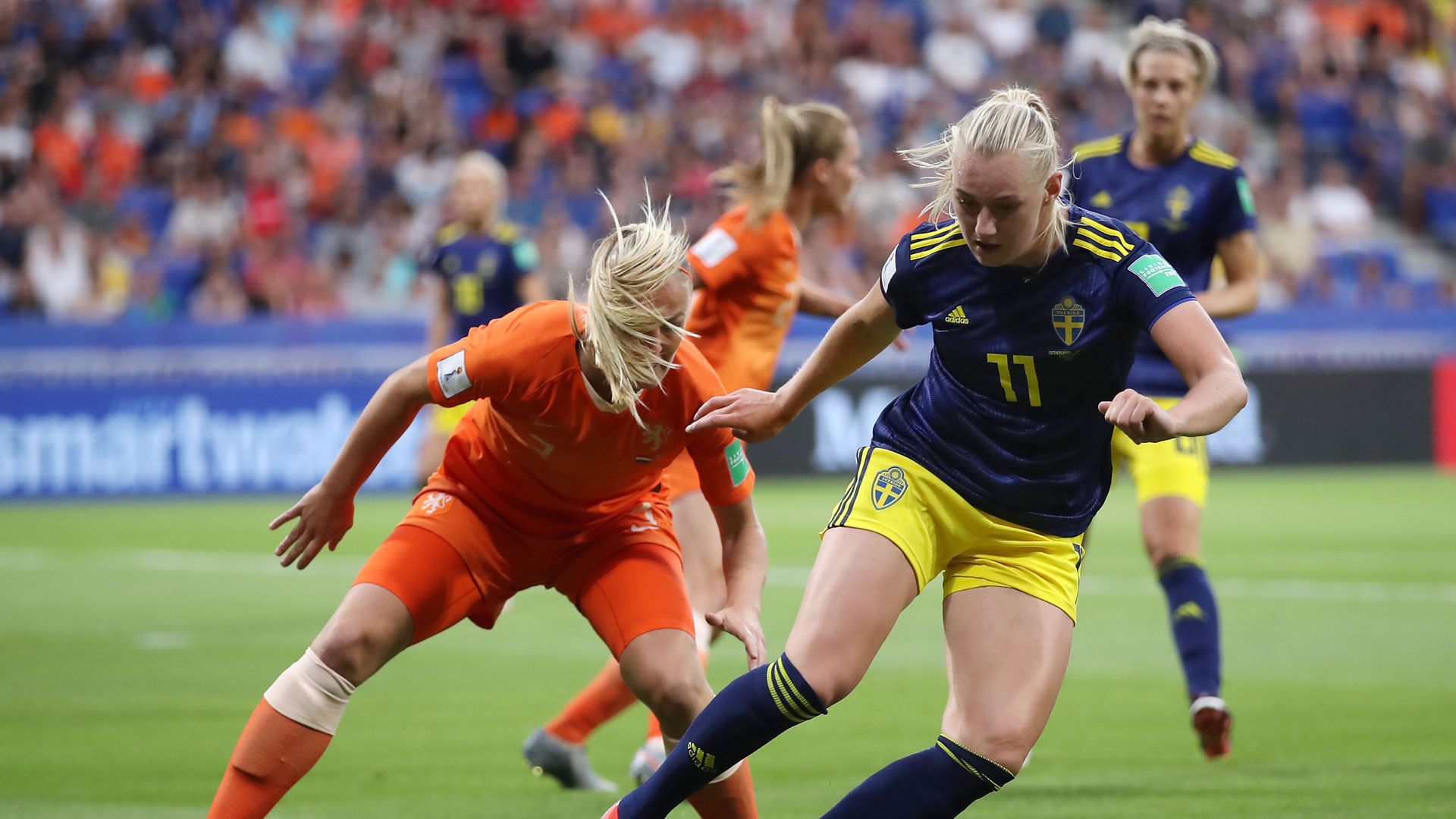 Schweden Niederlande