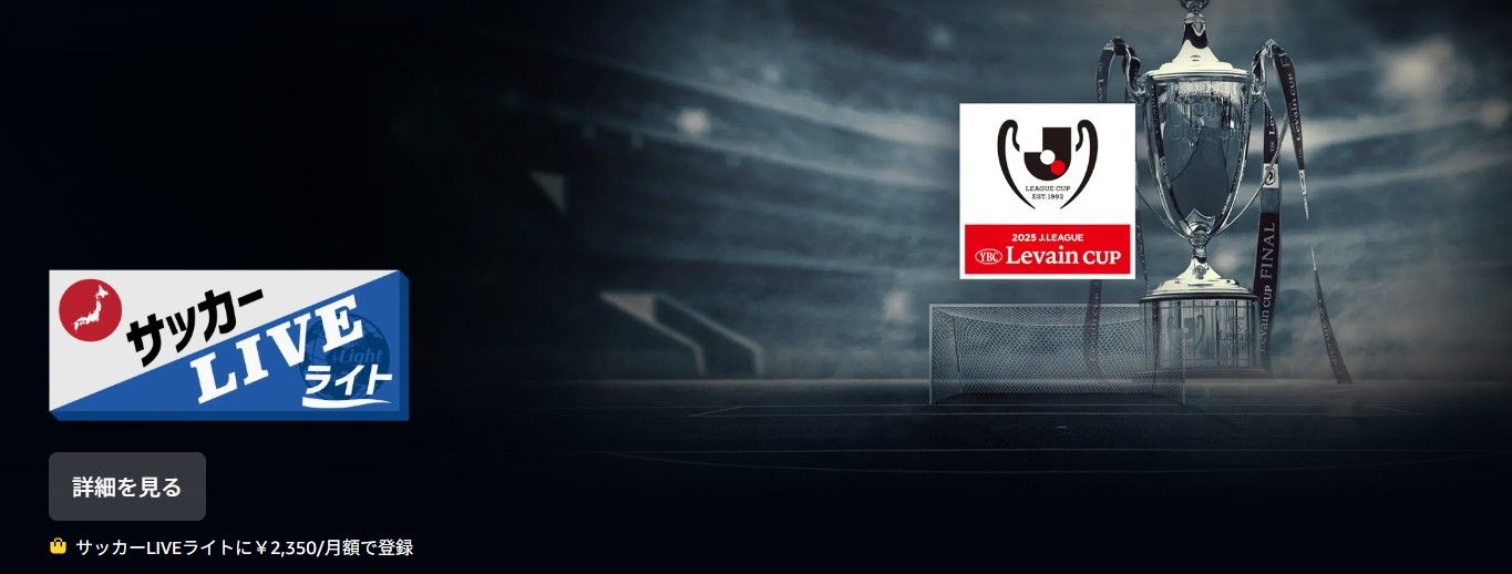 amazon levain cup 2025