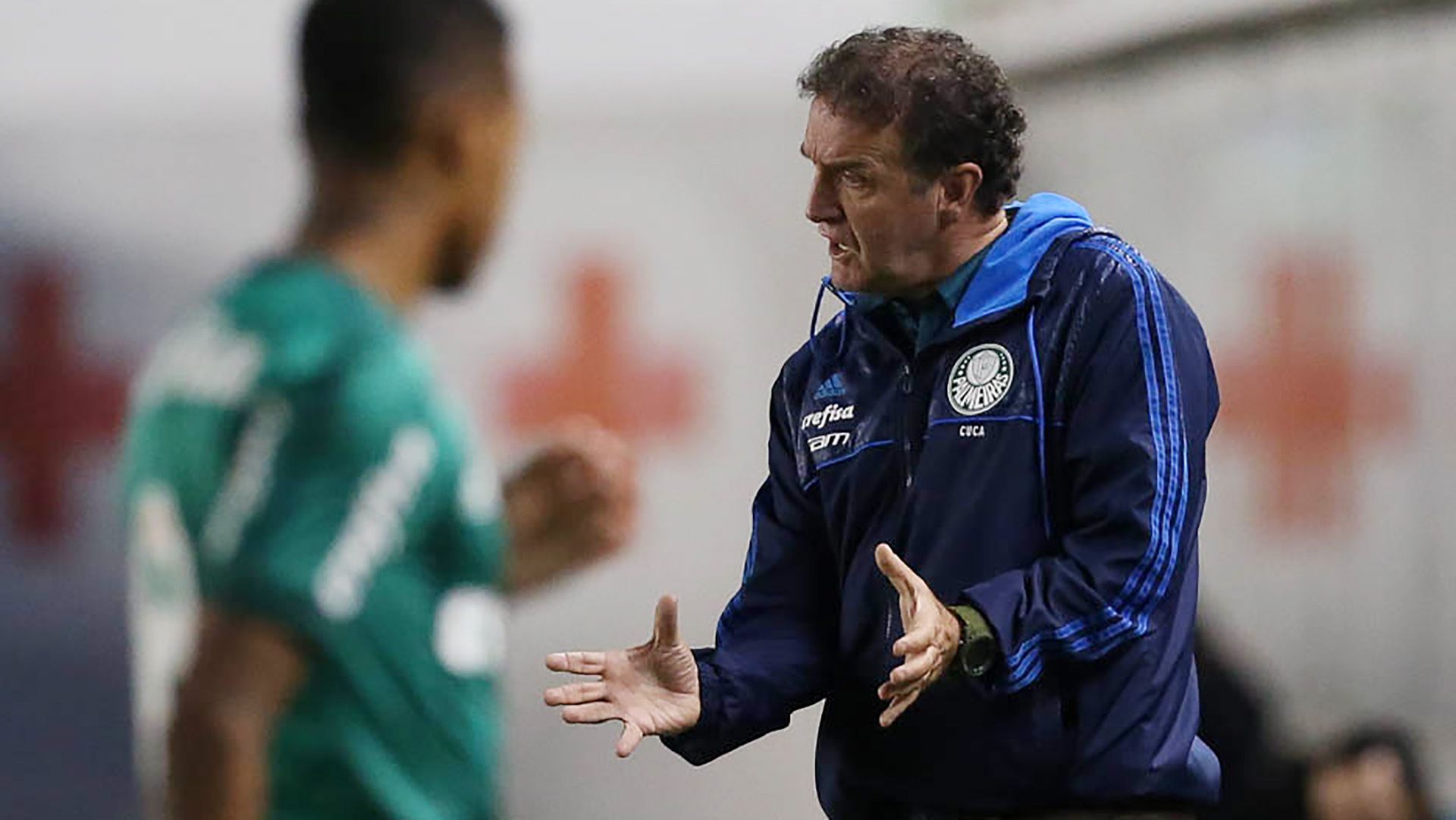 Cuca Santos Palmeiras Brasileirao Serie A 14062017