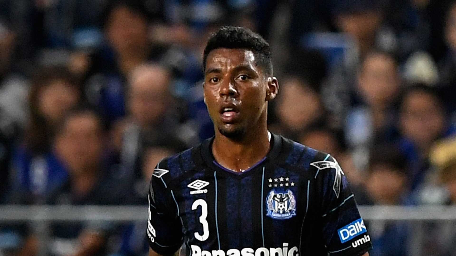 2017-09-20-gamba-FABIO Aguiar Da Silva