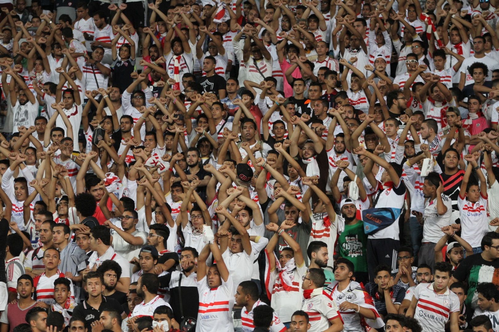 Zamalek Fans