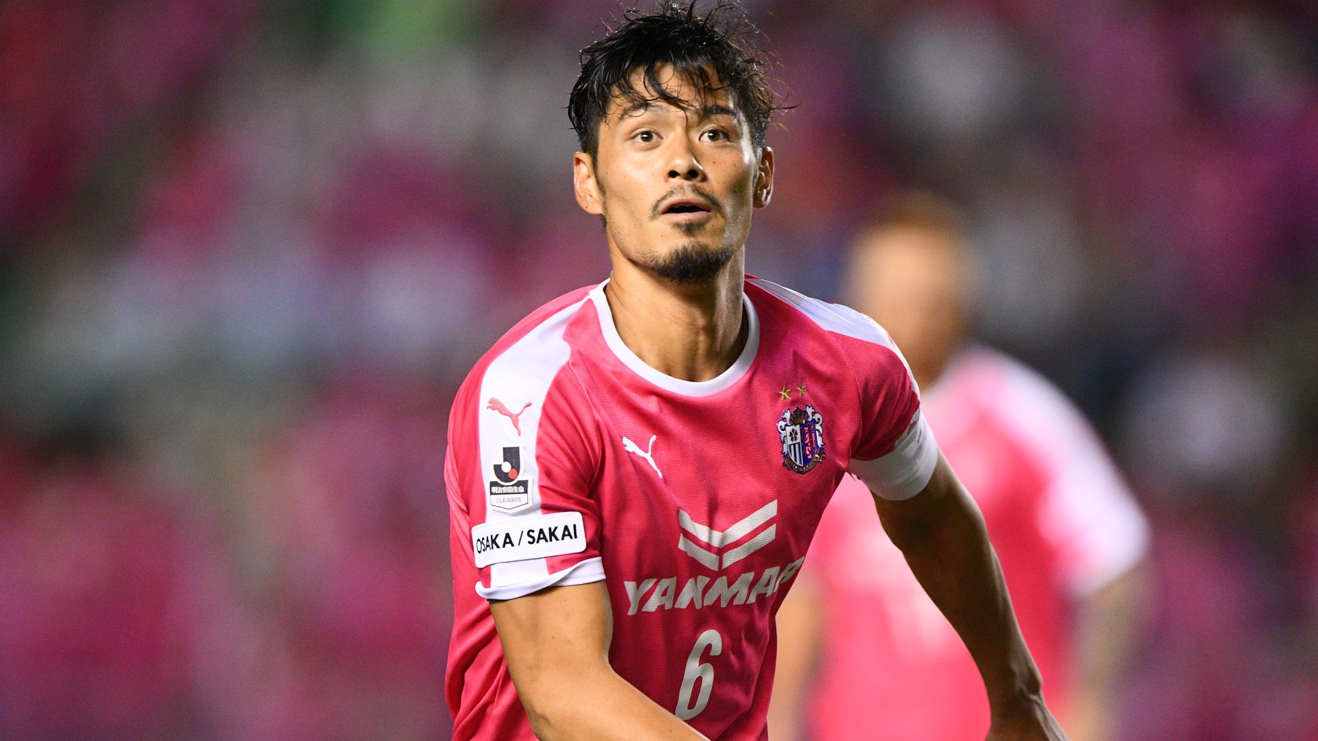 cerezo01.jpg