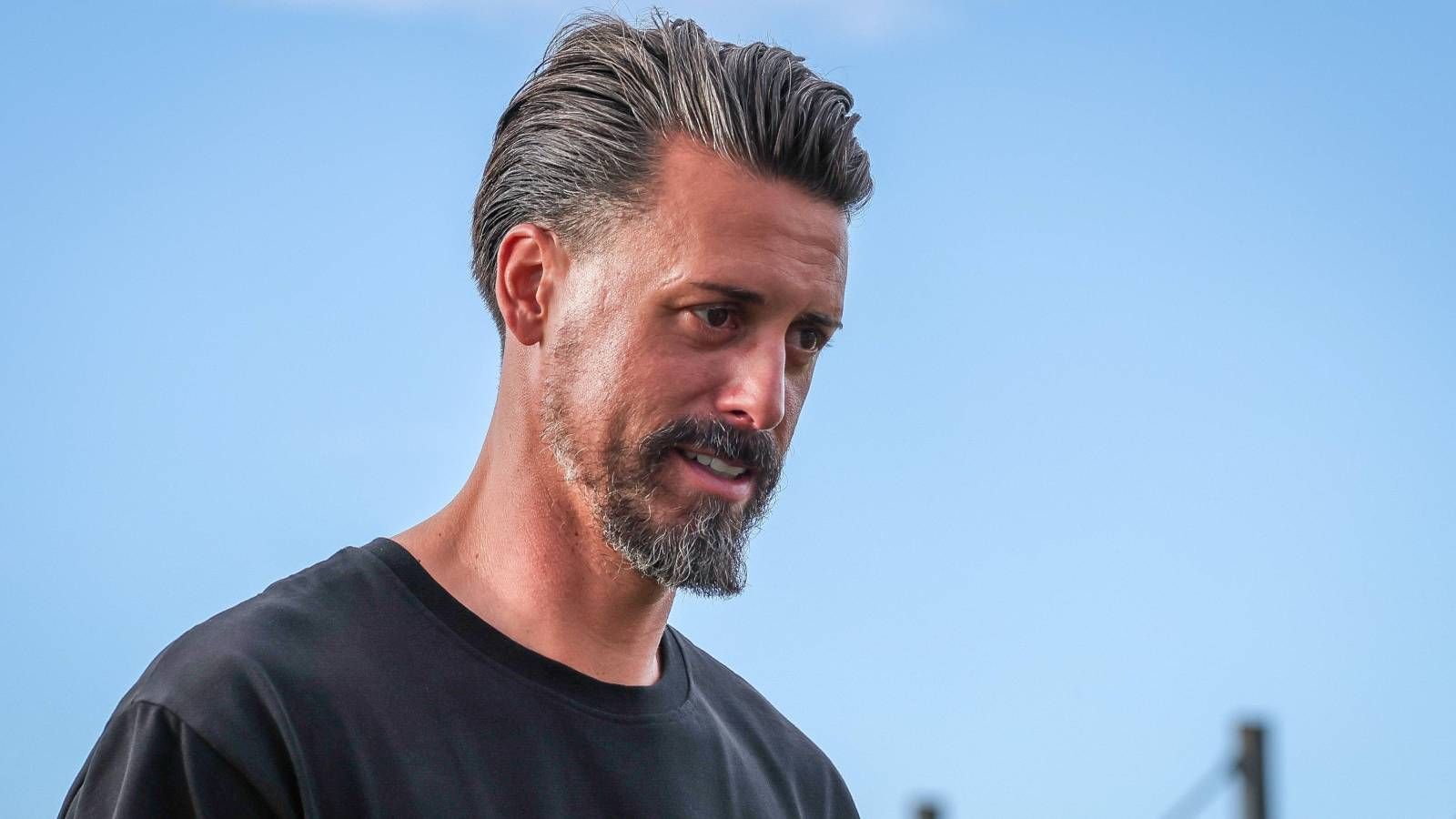 Sandro Wagner FC Augsburg