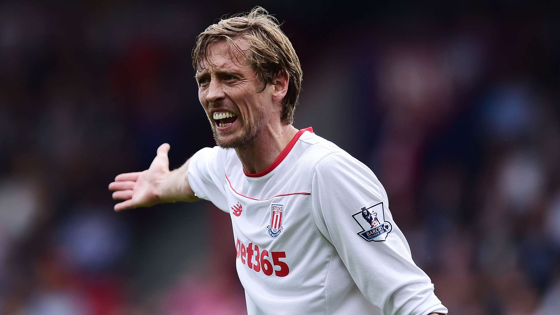 Peter Crouch Stoke City 07052016