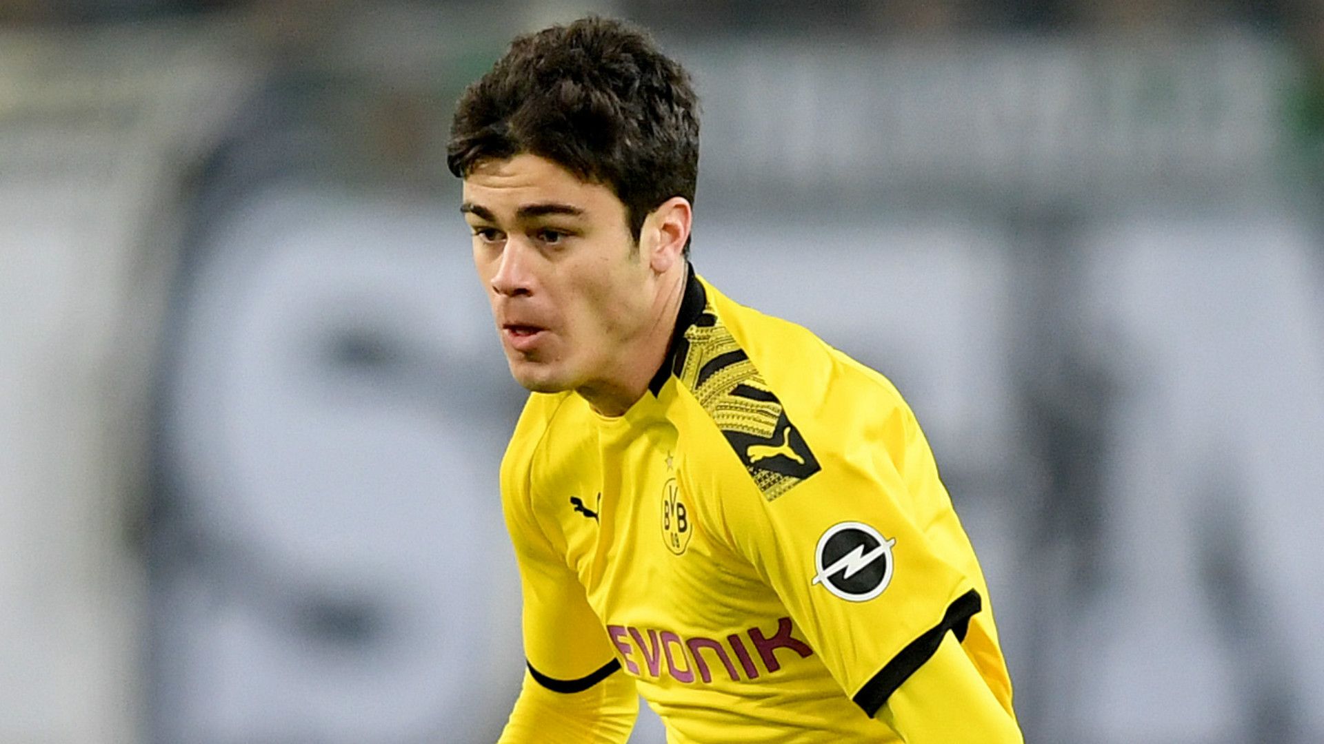 Giovanni Reyna Borussia Dortmund 2019-20