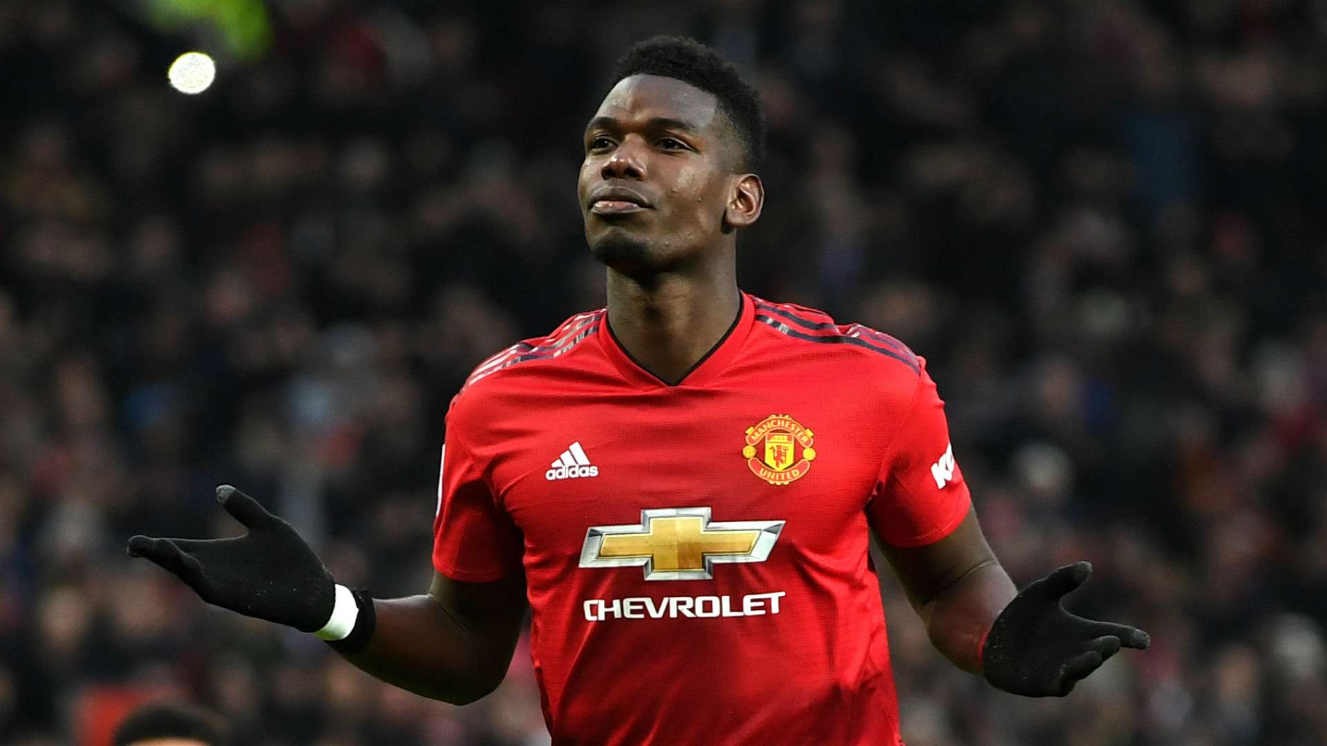 Paul Pogba Manchester United 2018-19