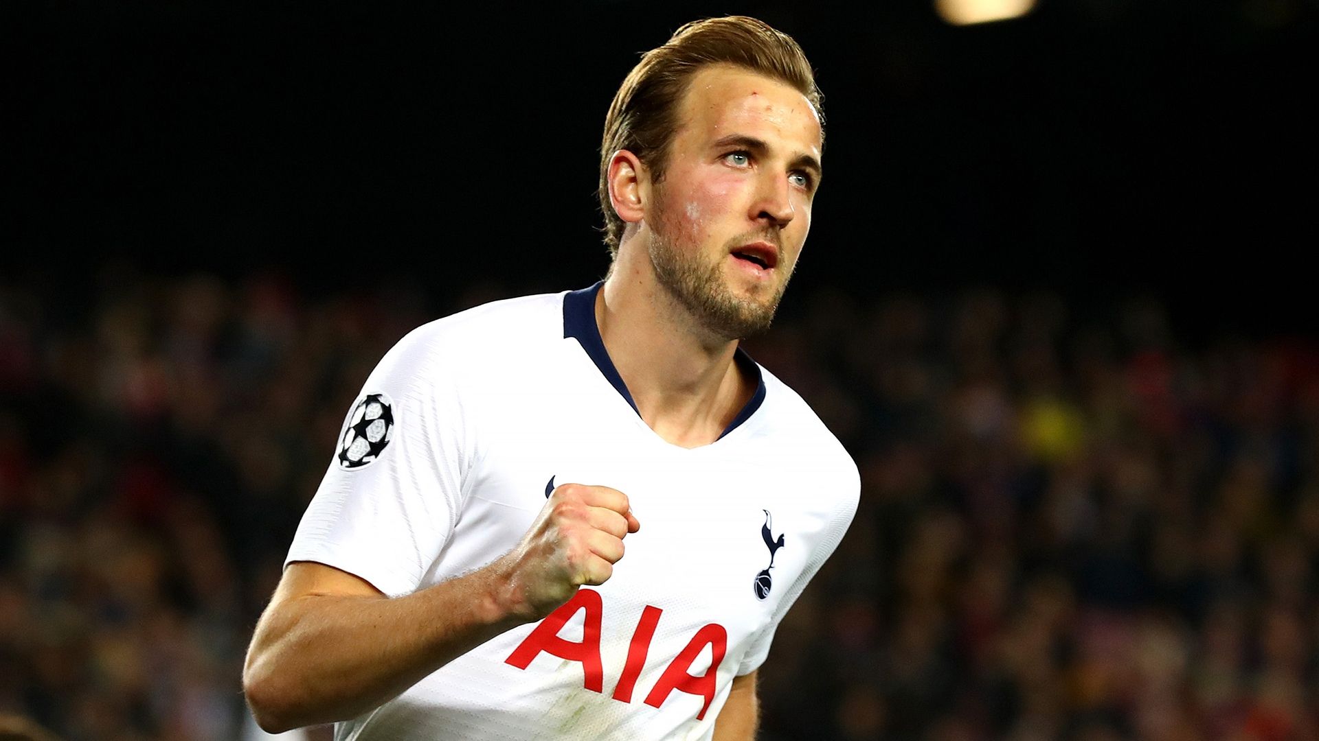 Harry Kane Tottenham 2018-19