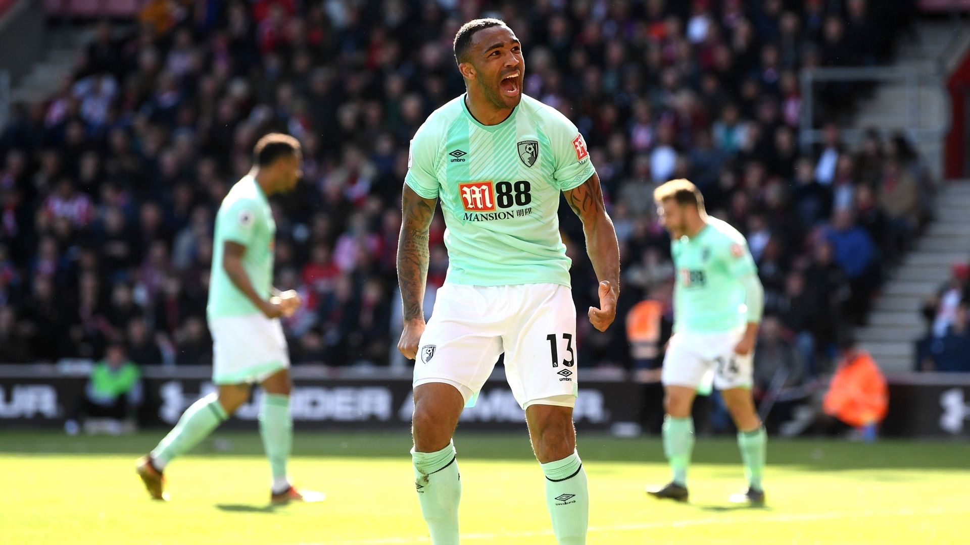 Callum Wilson - Bournemouth 2019