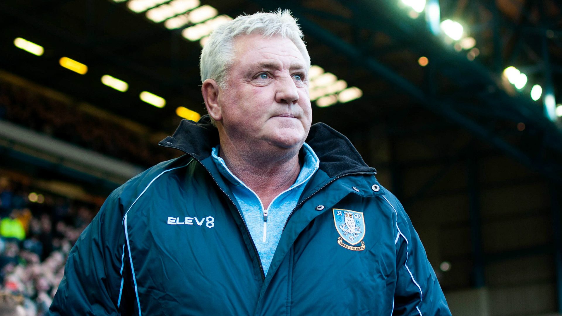 Steve Bruce Sheffield Wednesday 2018-19