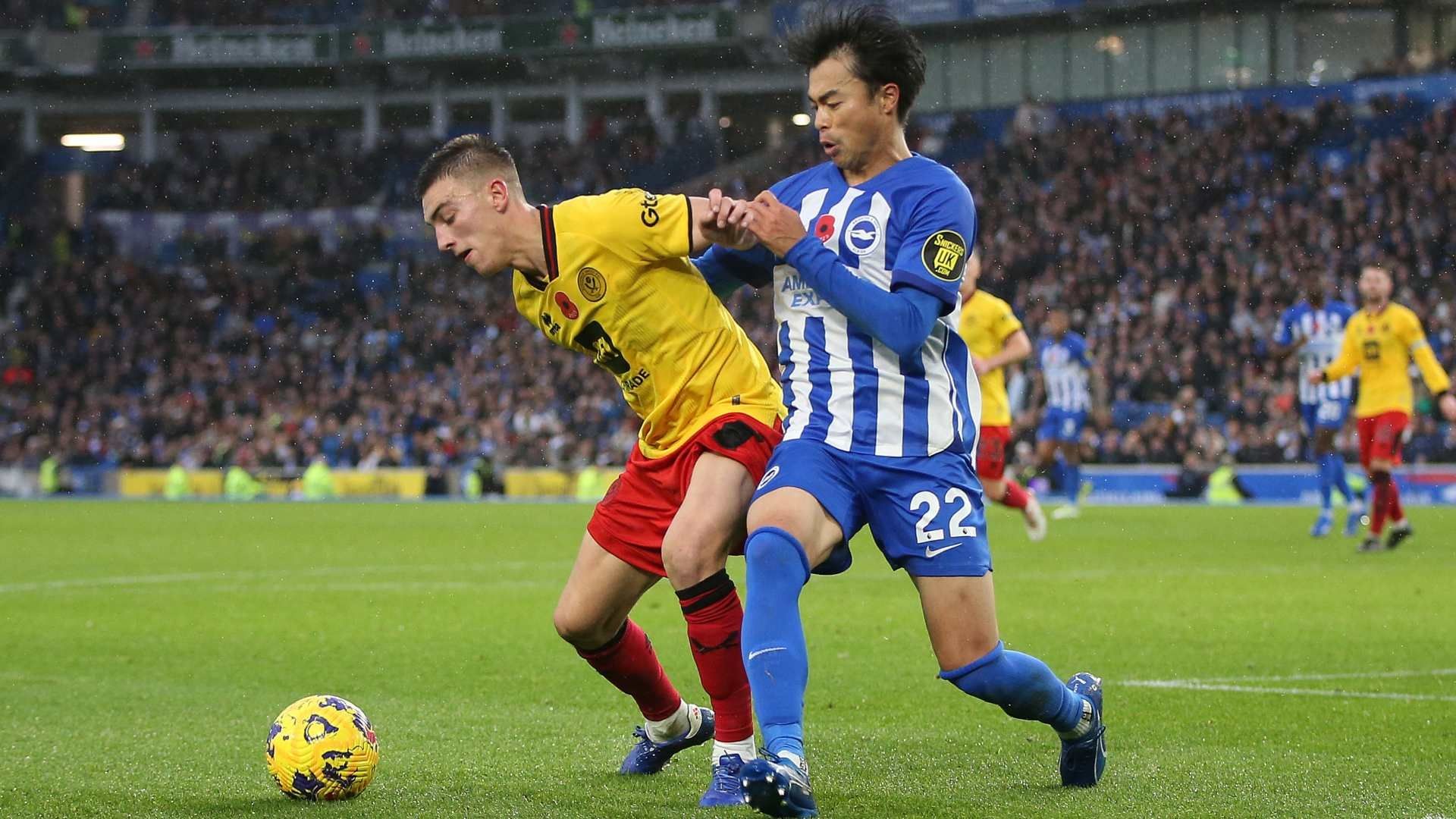 20231112 Kaoru Mitoma