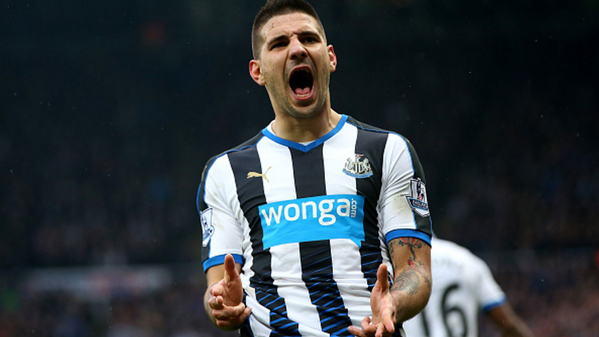 Aleksandar Mitrović Newcastle stari