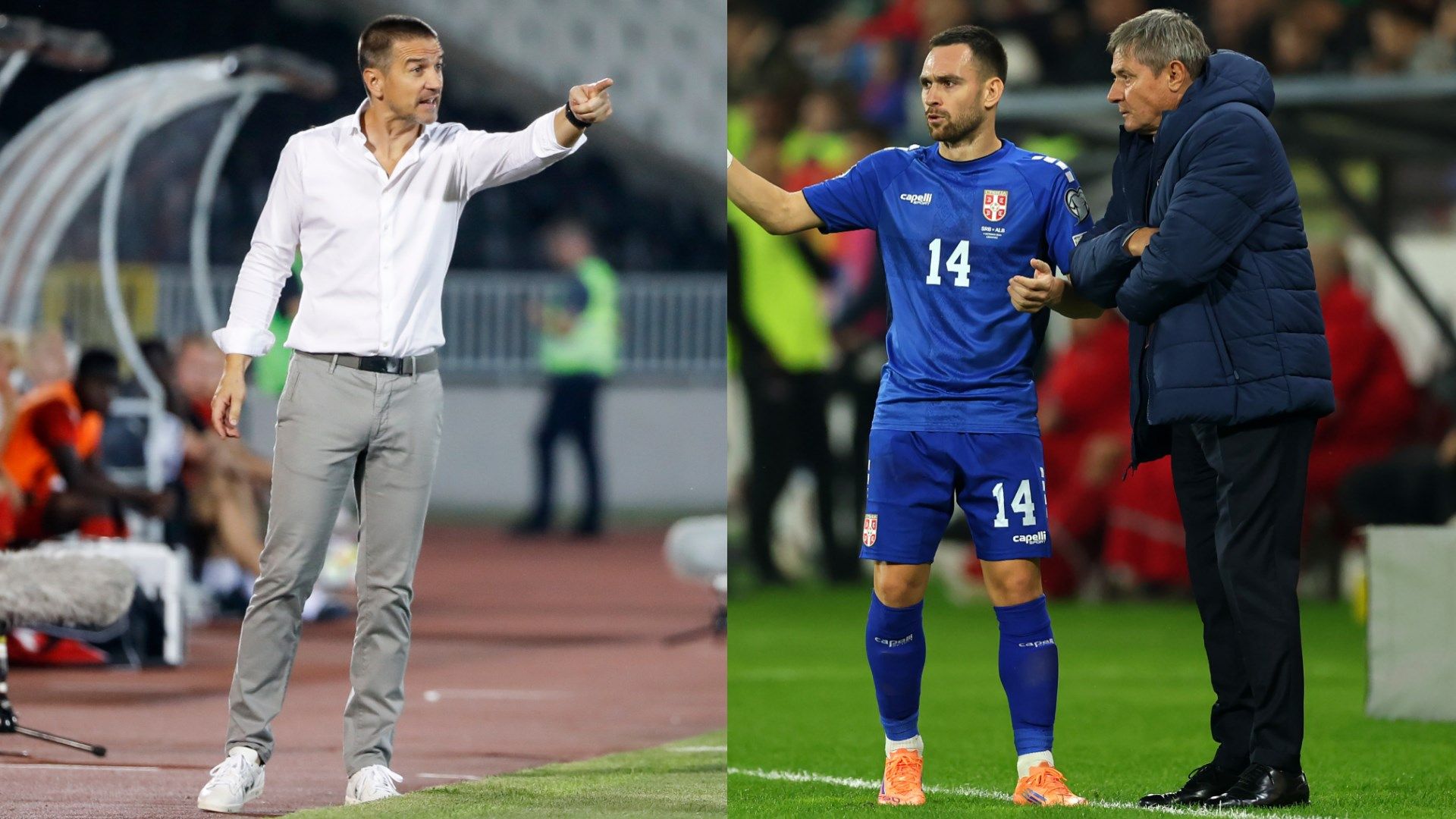 Mirkovic Stojkovic Serbia