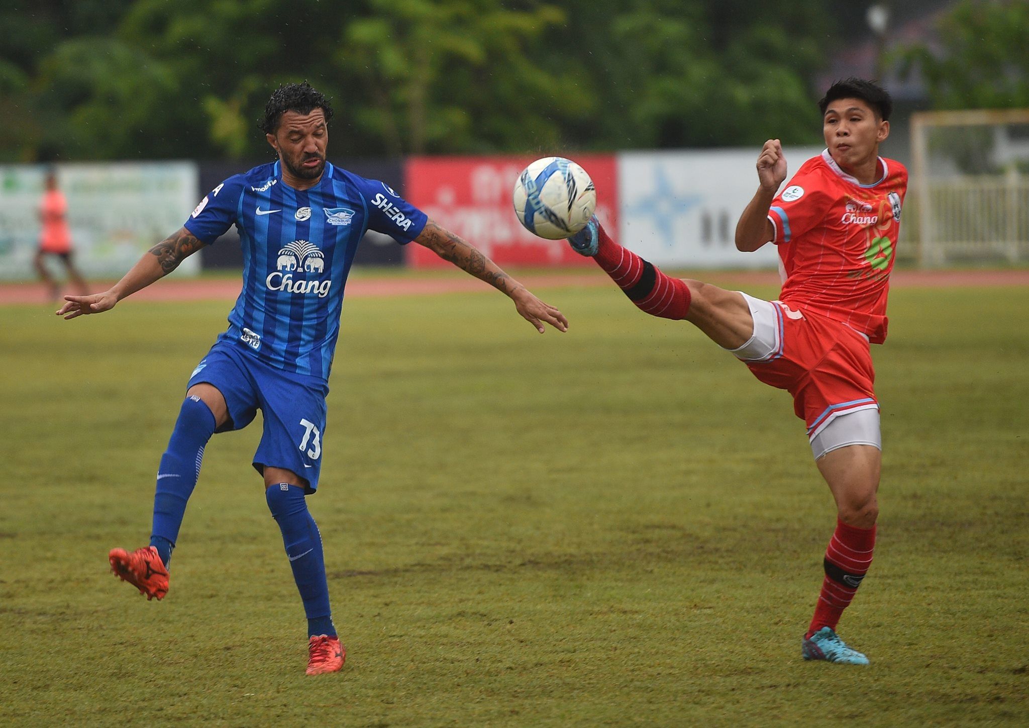 ช้าง ชวน ชล ช่วยน้อง