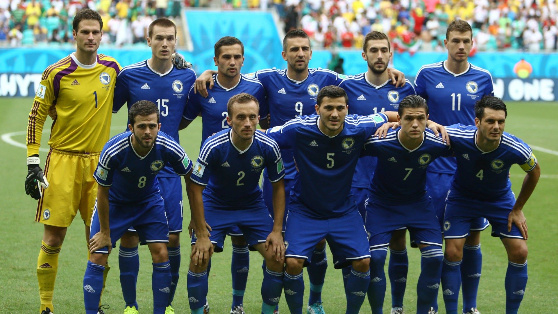 Bosnia World Cup 2014