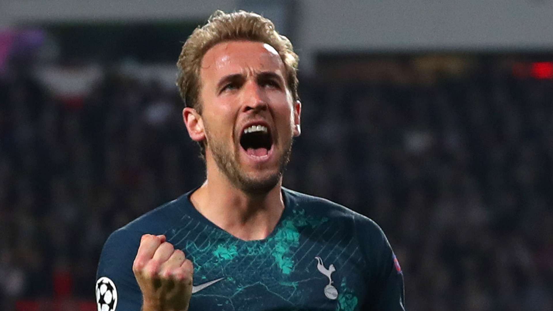 Harry Kane Tottenham 2018-19