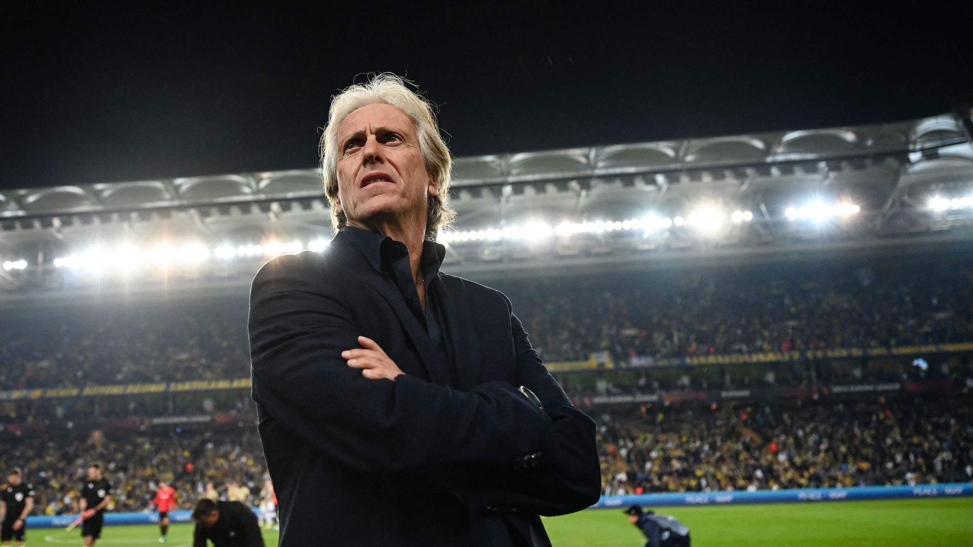 Jorge Jesus, Fenerbahce