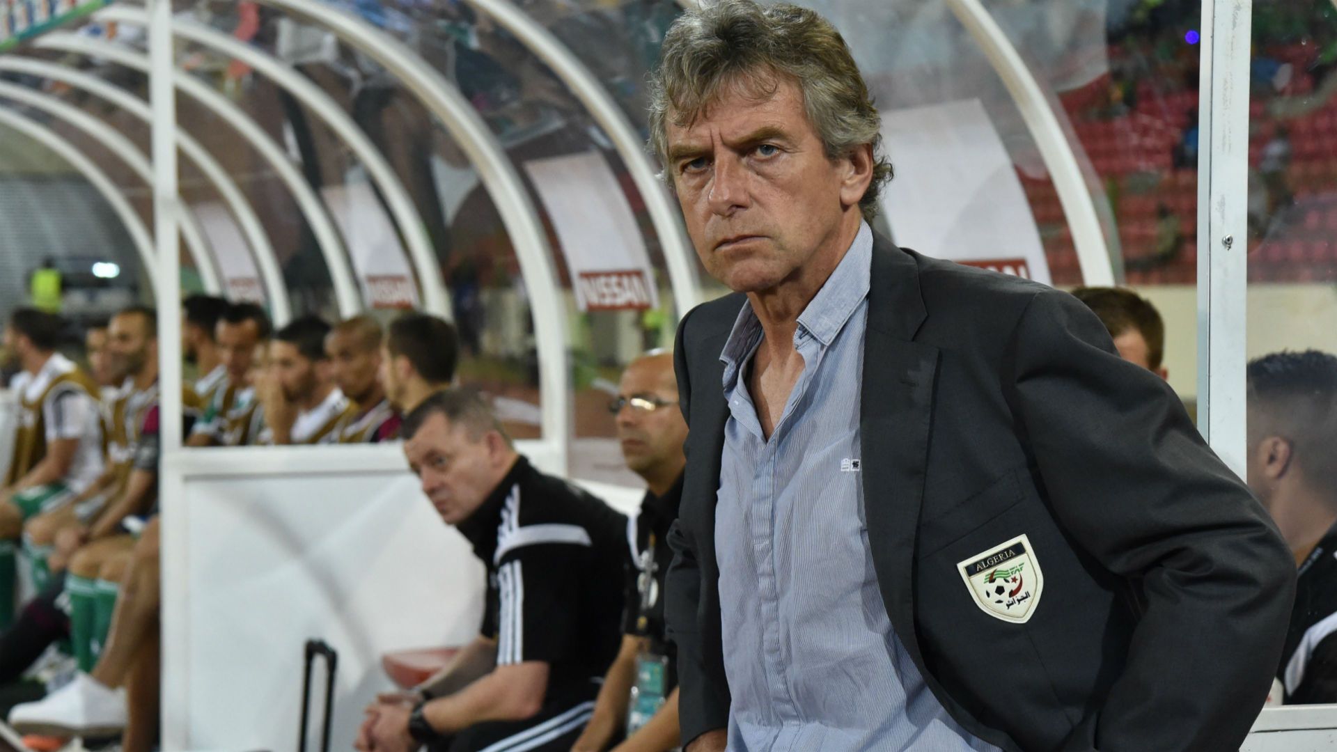 Christian Gourcuff Algeria