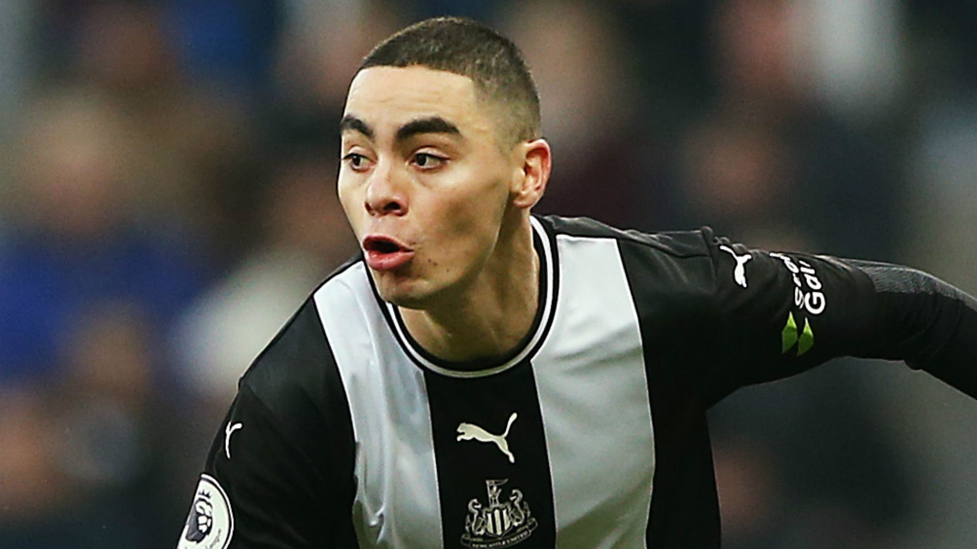 Miguel Almiron Newcastle 2019-20