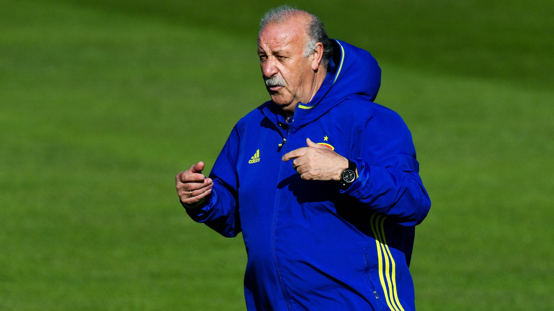 Vicente Del Bosque Spain