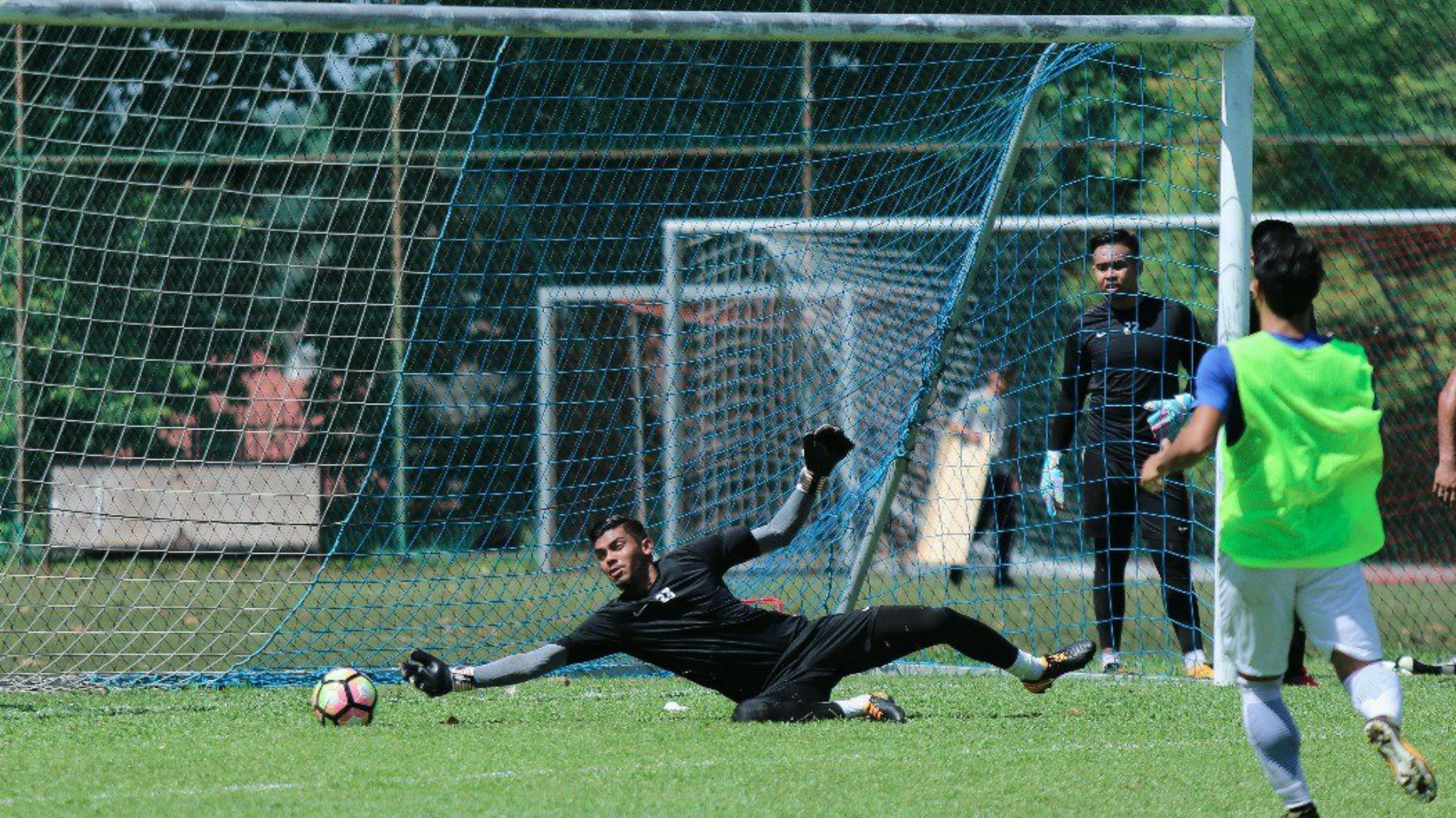 Hafizul Hakim, Malaysia