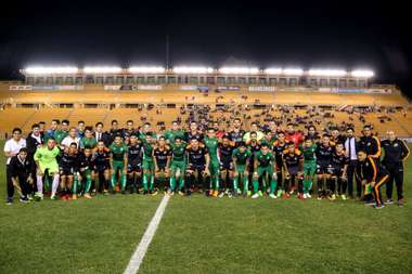 Alebrijes vs Venados