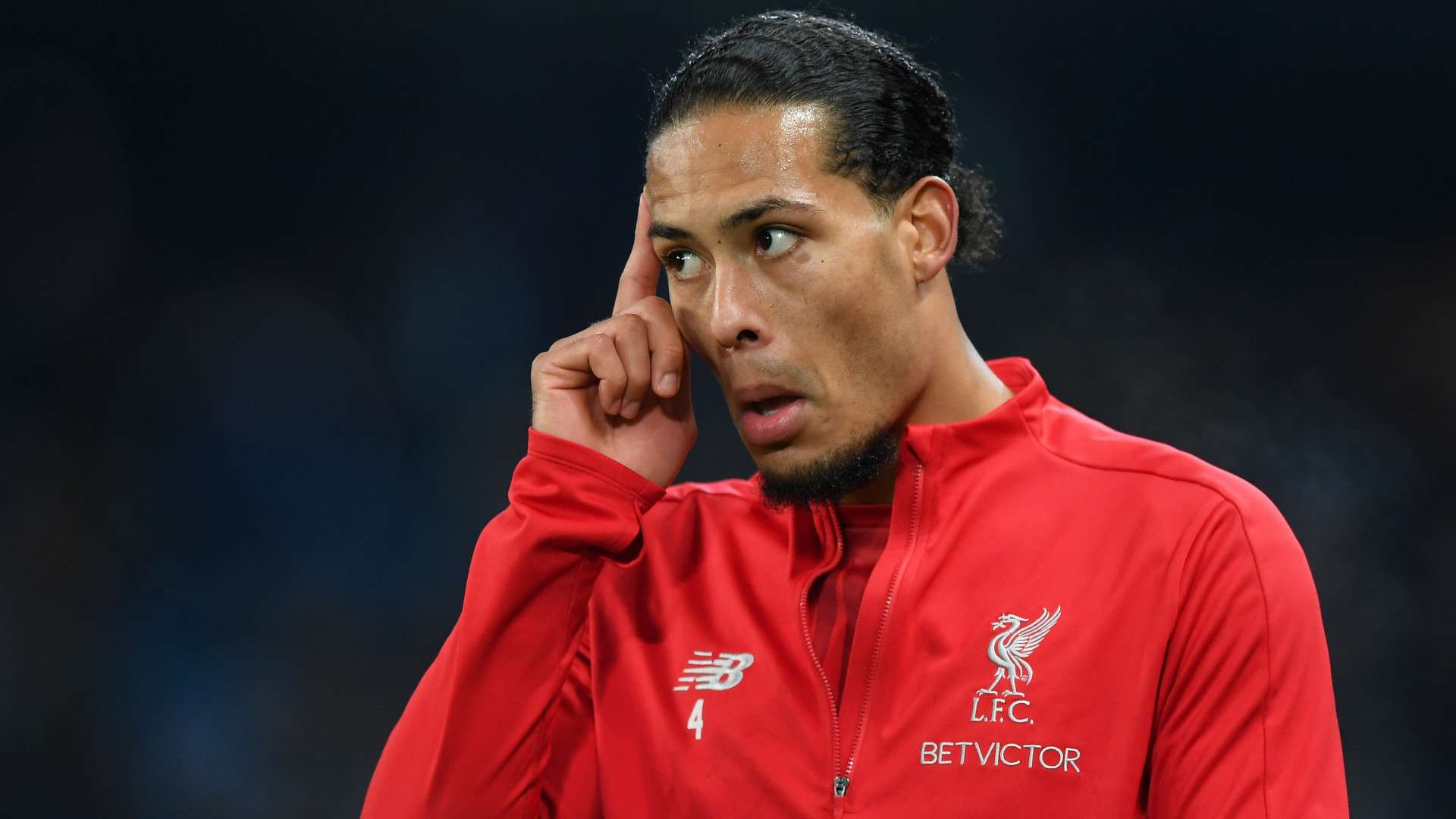 VIRGIL VAN DIJK LIVERPOOL PREMIER LEAGUE 03012019