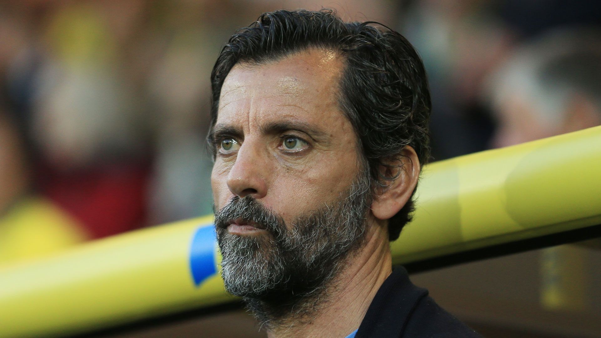 Quique Sanchez Flores FC Watford 11052016
