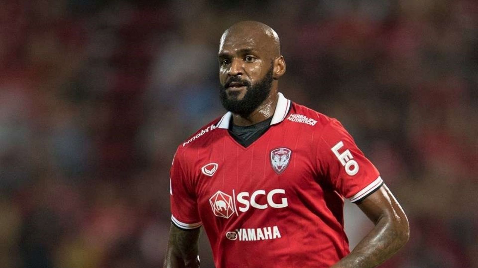 เซลิโอ ดอส ซานโตส