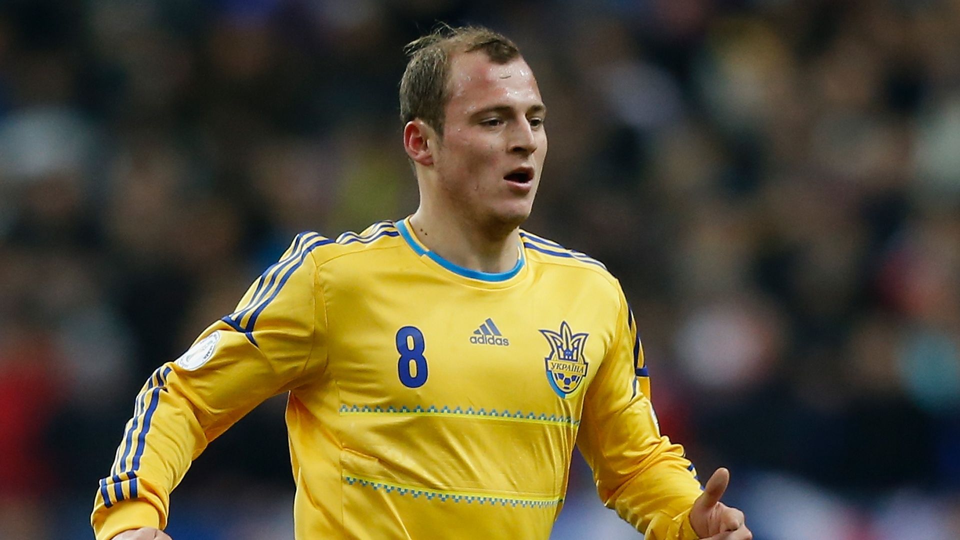 Roman Zozulia, Ukraine