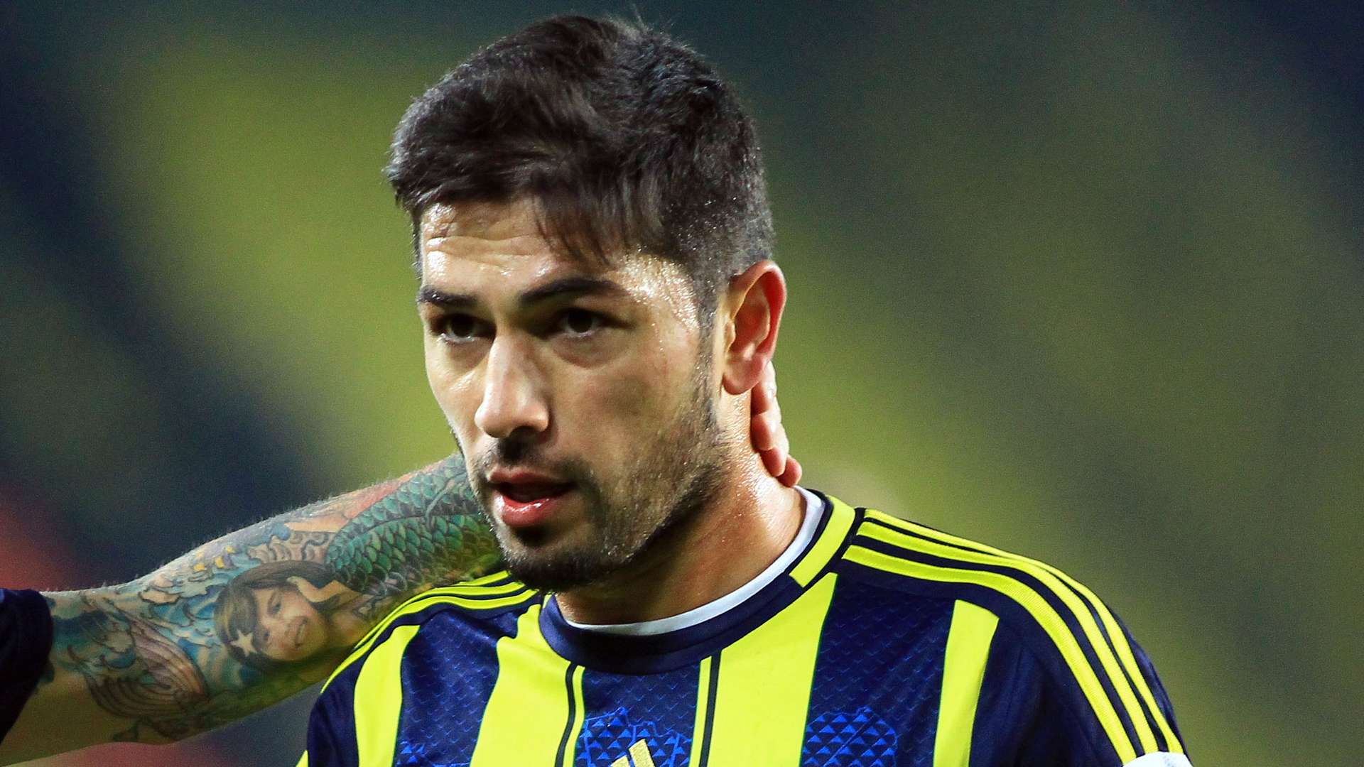 Sezer Ozturk, Fenerbahce