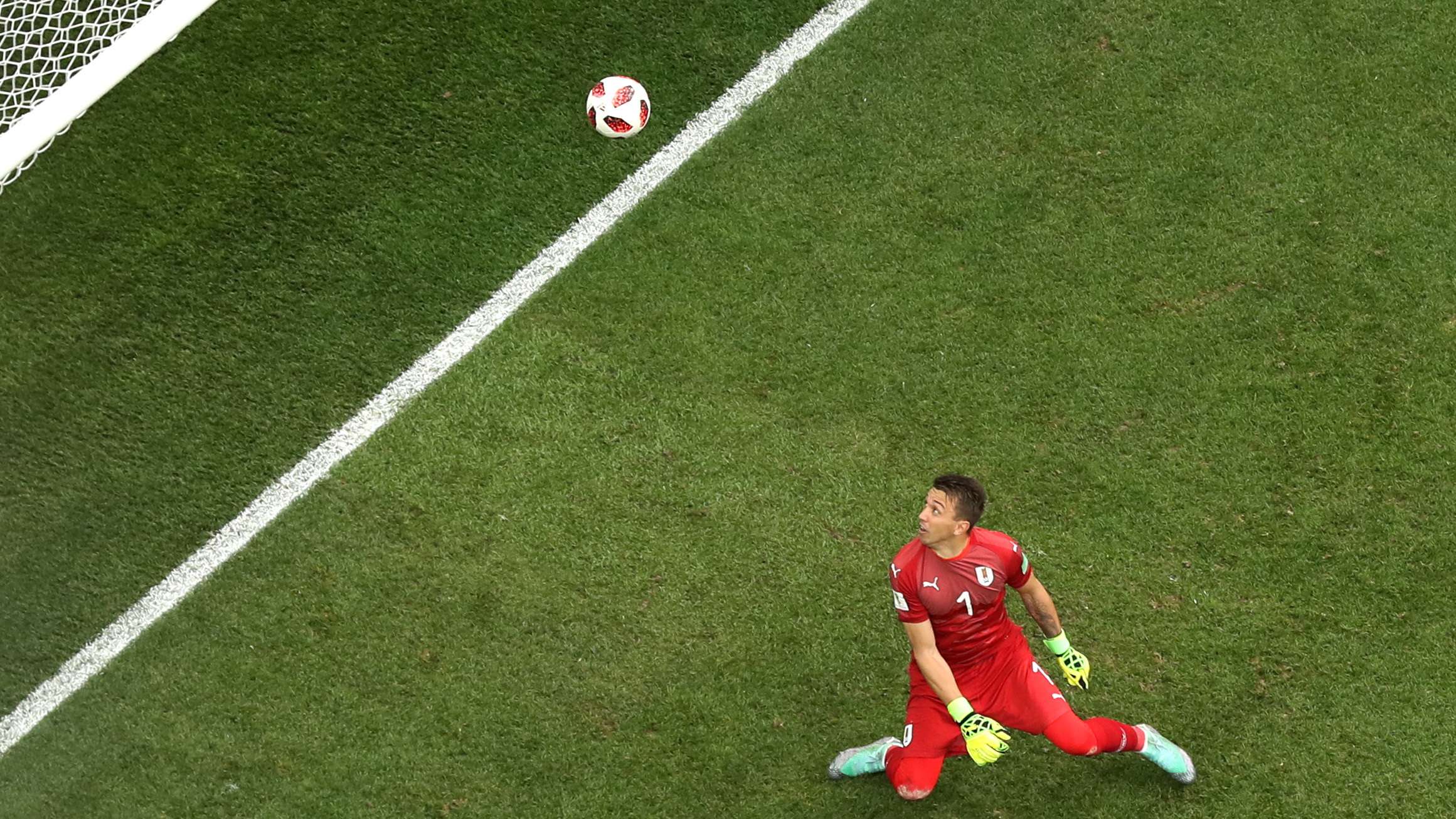 Fernando Muslera Uruguay France World Cup