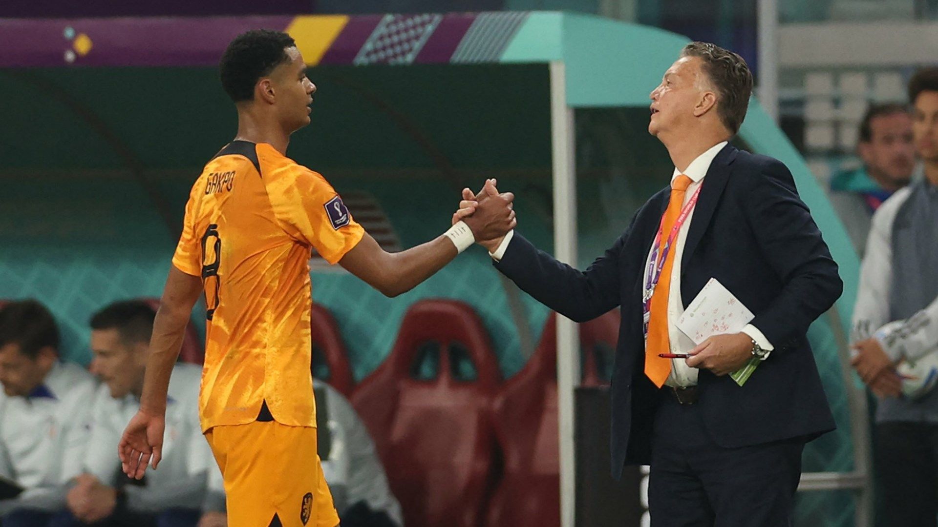 Cody Gakpo Louis van Gaal Netherlands 2022