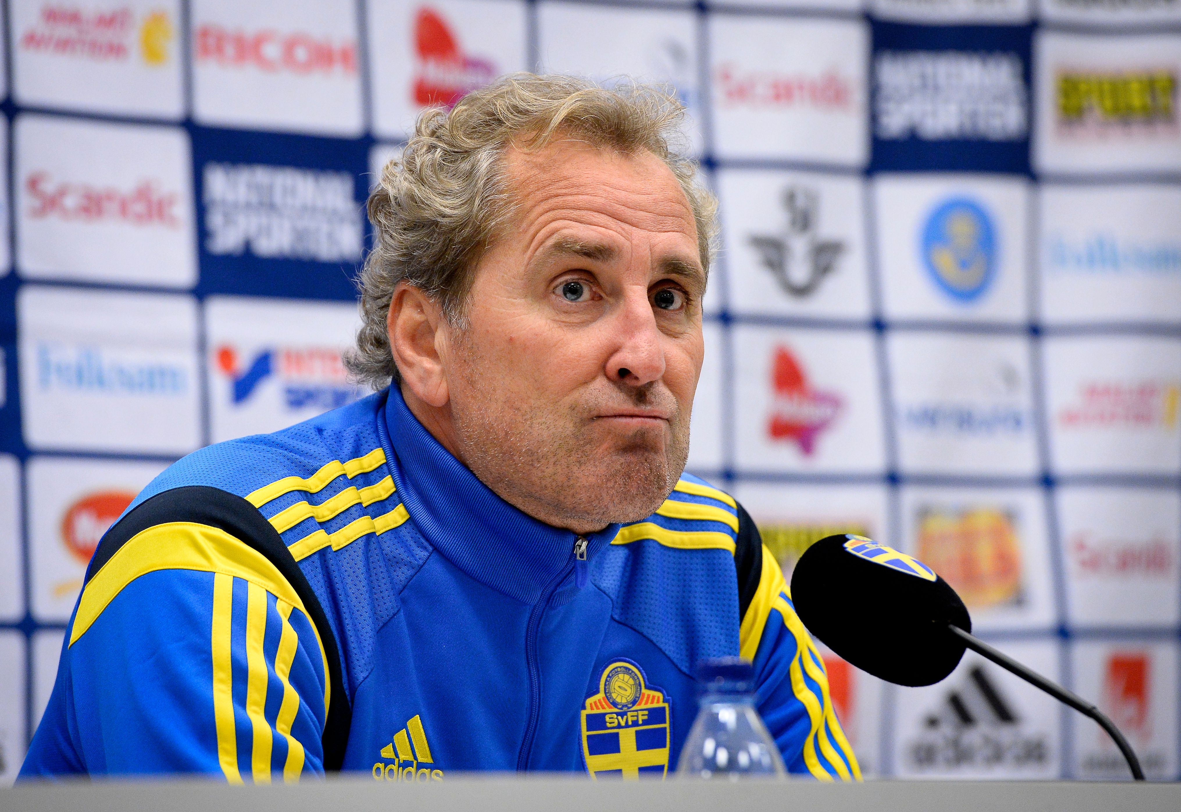 Sweden coach Erik Hamren