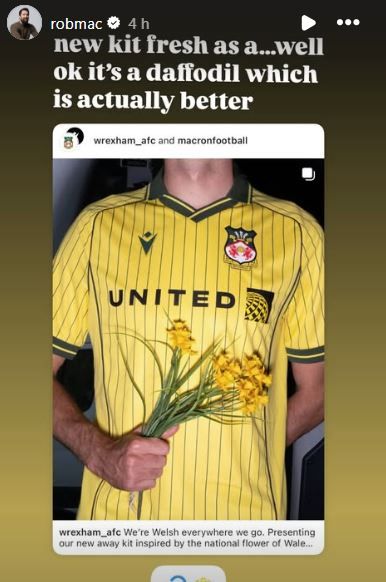 Rob McElhenney Instagram