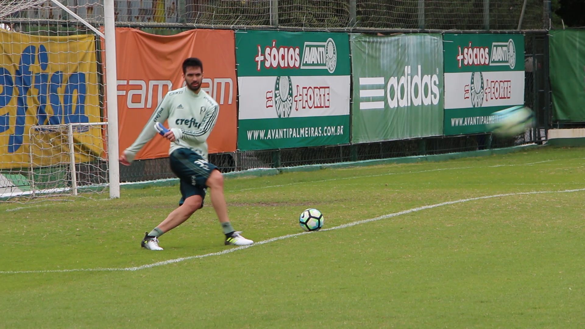luan_palmeiras