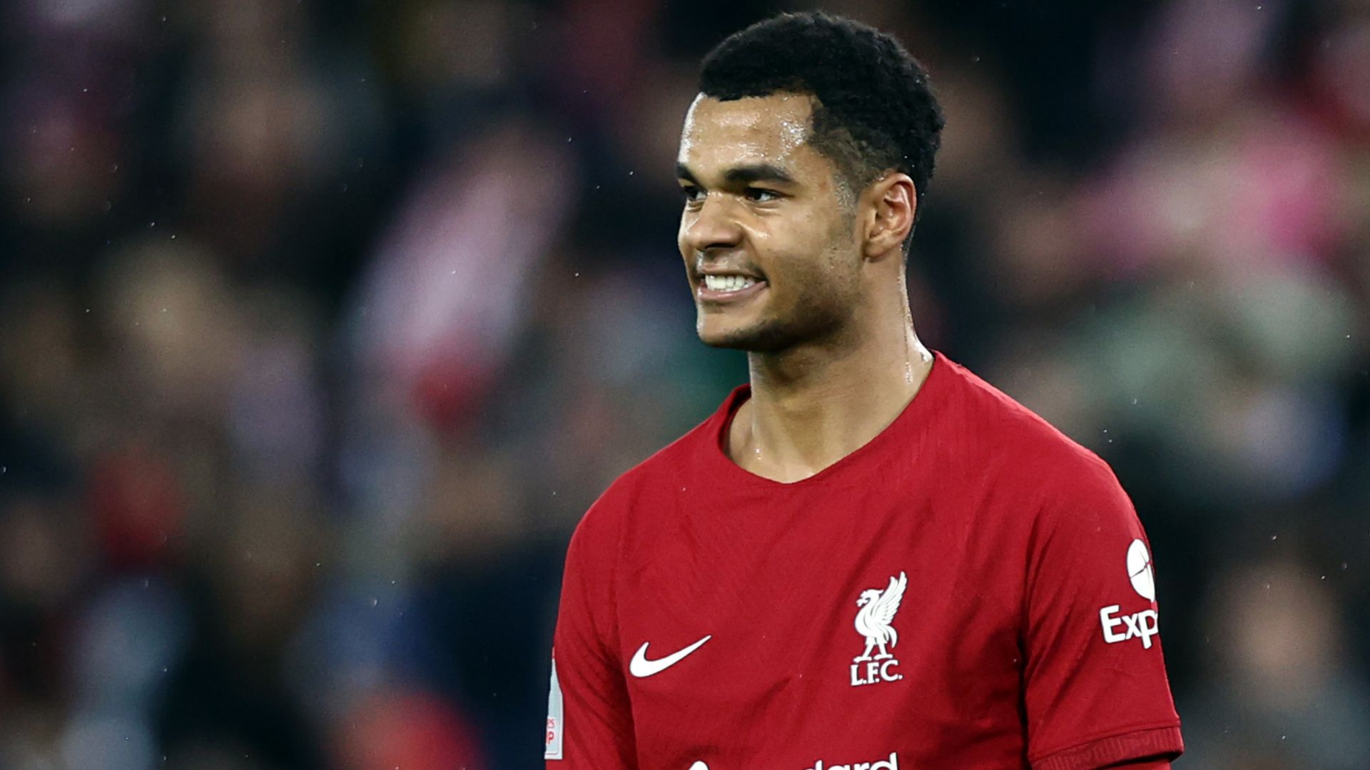 Cody Gakpo Liverpool 2022-23