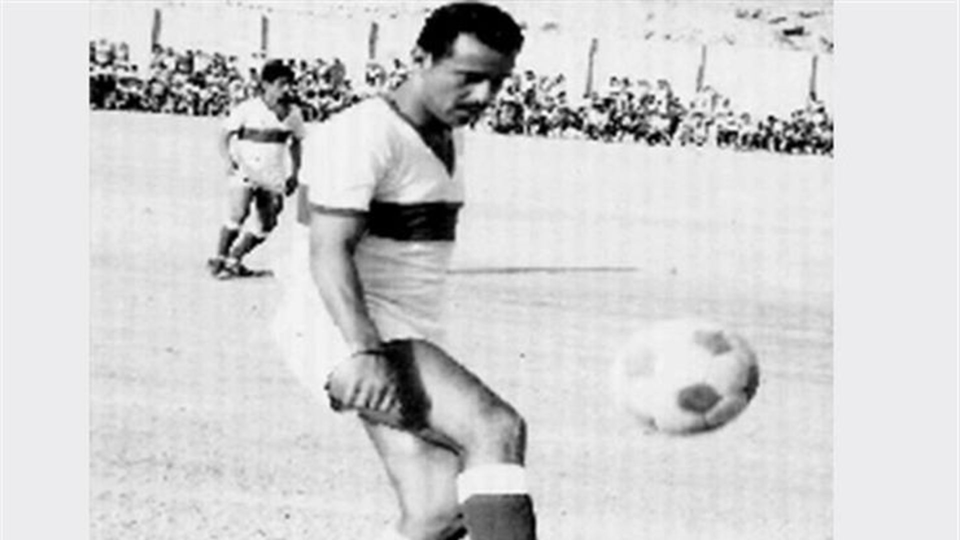 علي محسن المريسي